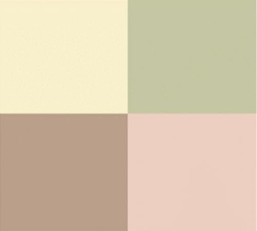 Dr. Hauschka Colour Correcting Kompaktpuder – Transparent