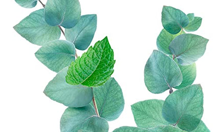 Kneipp Rosmarin Badöl – Goodbye Stress Bath Oil, 100 ml