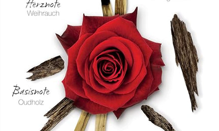 Mauboussin Cristal Oud Eau de Parfum 100 ml