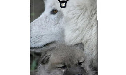 Ahava Purifying Mask 6ml