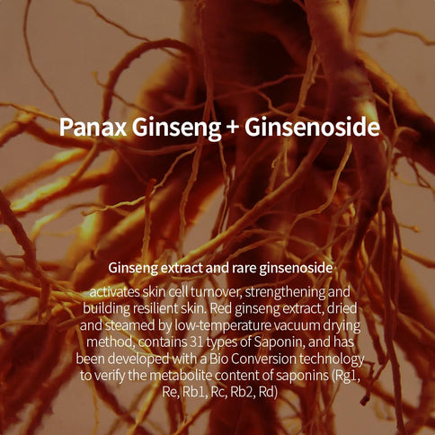 Fraijour Alchemic Ginsenoside Contour Eye Serum 25ml