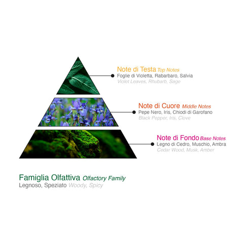 Diamond International Milan Shampoo & Shower Gel – Herren, holziger Duft, 400 ml