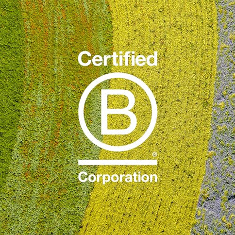 Davines Heart of Glass Rich Blonde Care Conditioner 250 ml