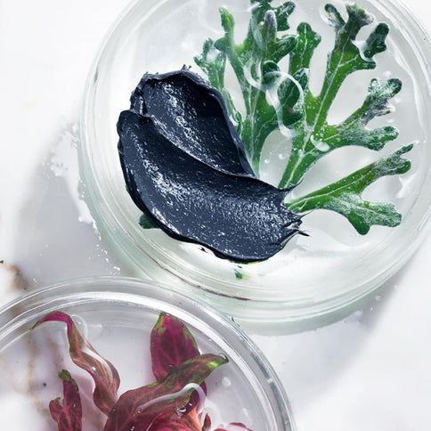 Bullfrog Anti-Pollution Purifying Mask 50 ml