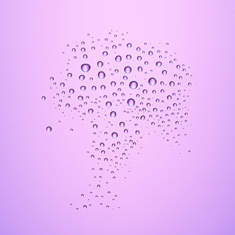 Catrice Ultra Last2 Fixing Spray Transparent – Setting Spray, 50 ml