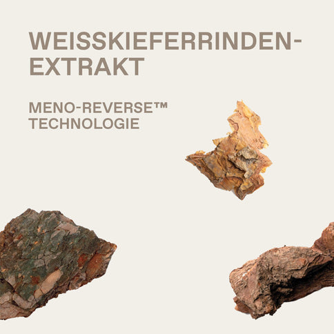 Korres White Pine Glättende Augen- und Lippenkonturcreme, vegan, 15 ml