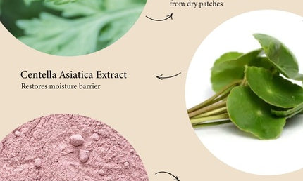 Fraijour Artemisia Steam Mask Korean Warming Clay Mask