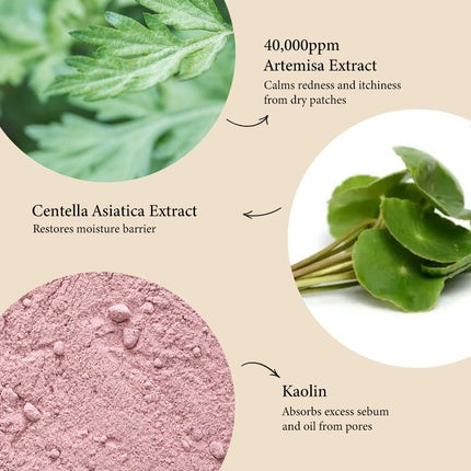 Fraijour Artemisia Steam Mask Korean Warming Clay Mask