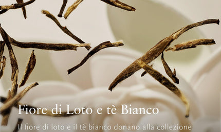 RITUALS The Ritual of Karma Summer Trio SPF30 Sun Lotion 50 ml + Body Oil