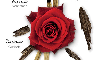 Mauboussin Cristal Oud Eau de Parfum 100 ml