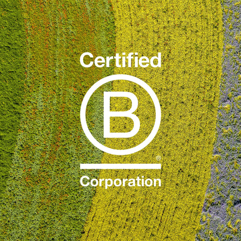 Davines Volu Volume Enhancing Shampoo 250 ml